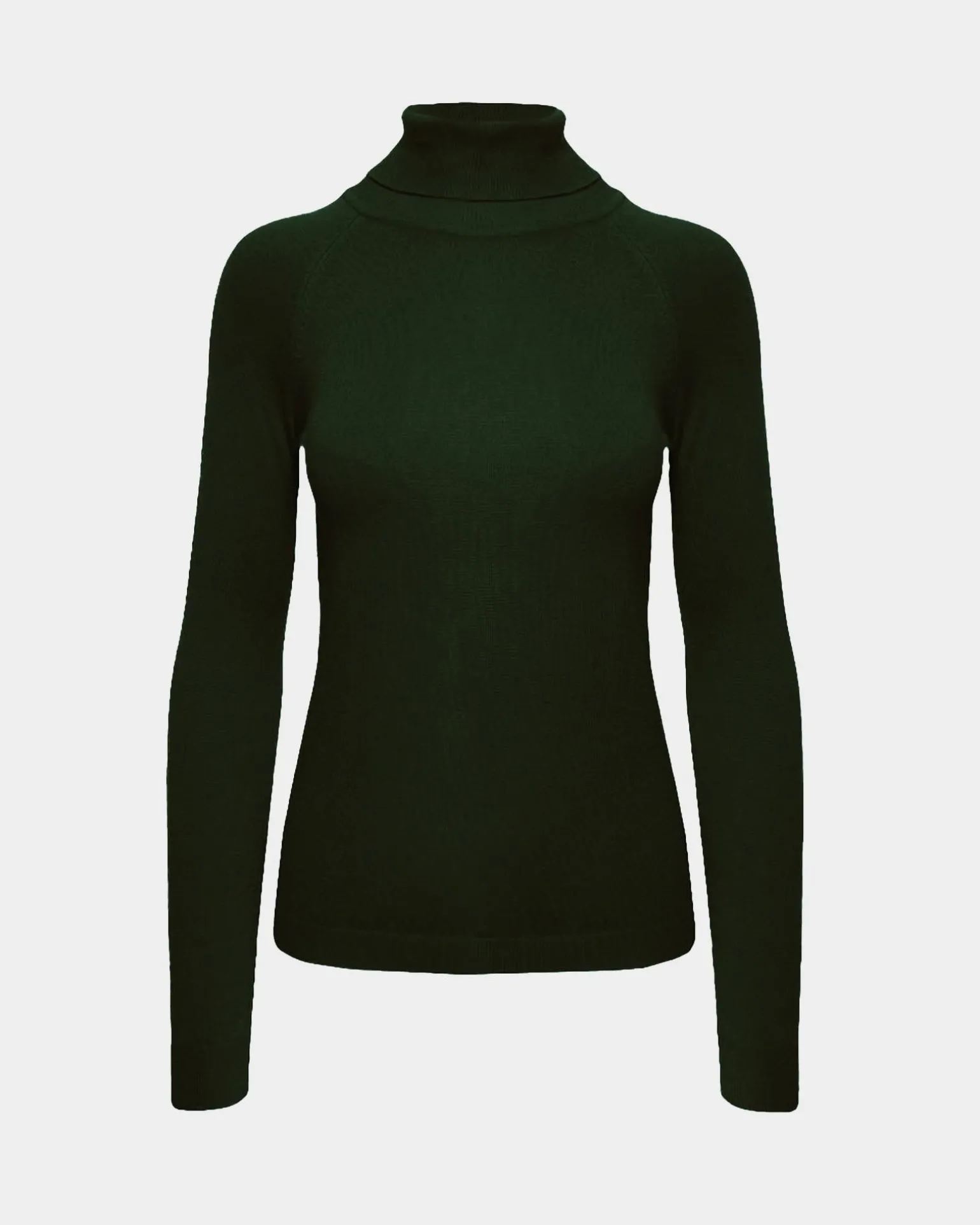 Clarisse Turtleneck Sweater