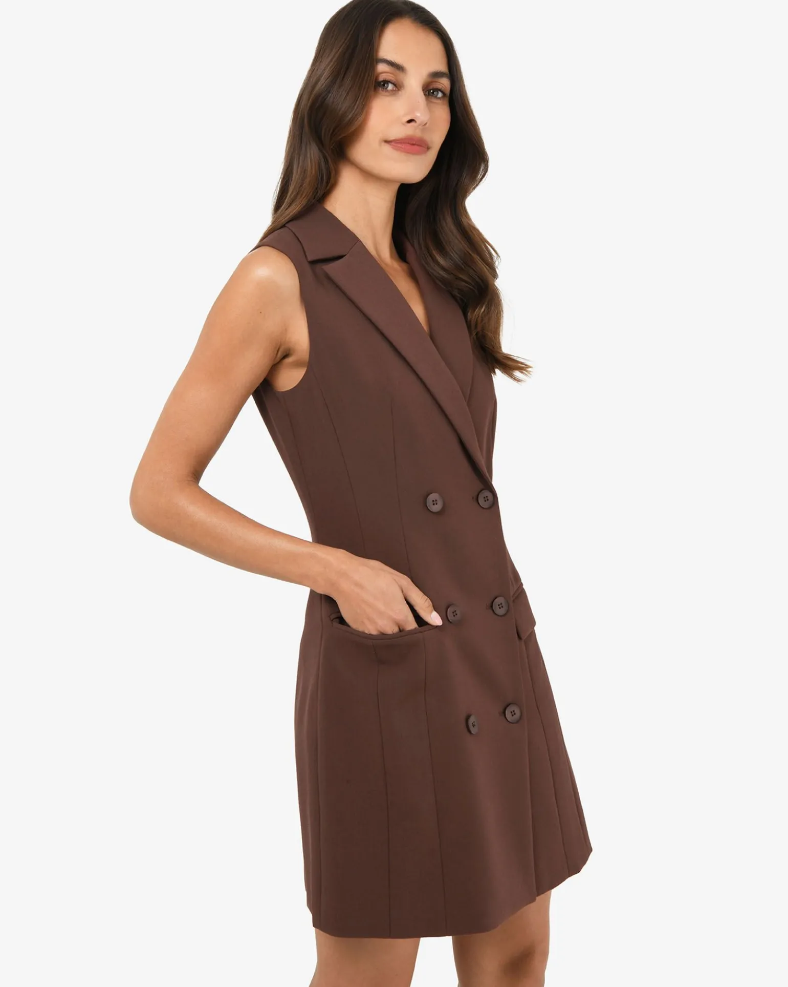 Nikki Double Breasted Dress