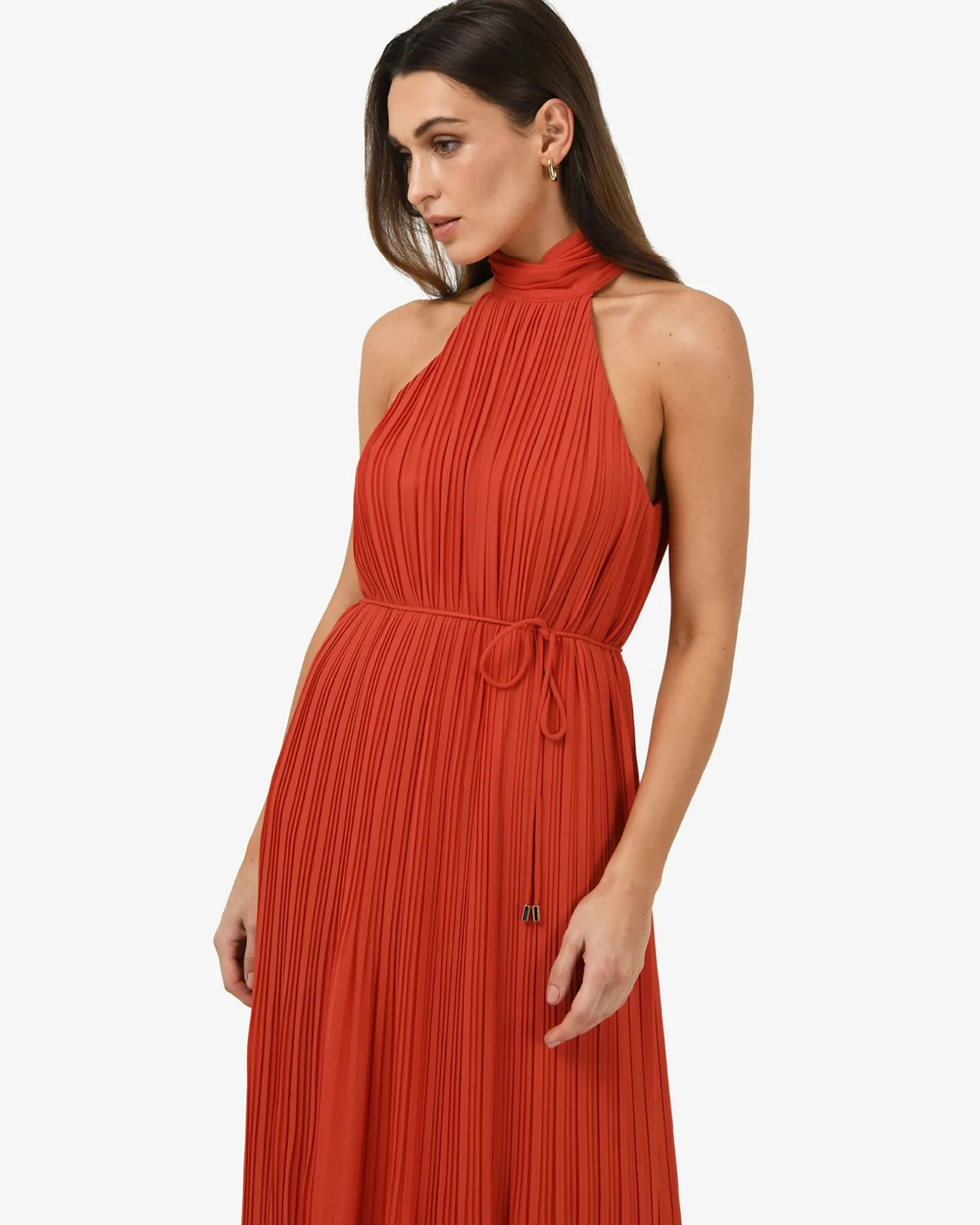 Shelly Chiffon Pleated Dress