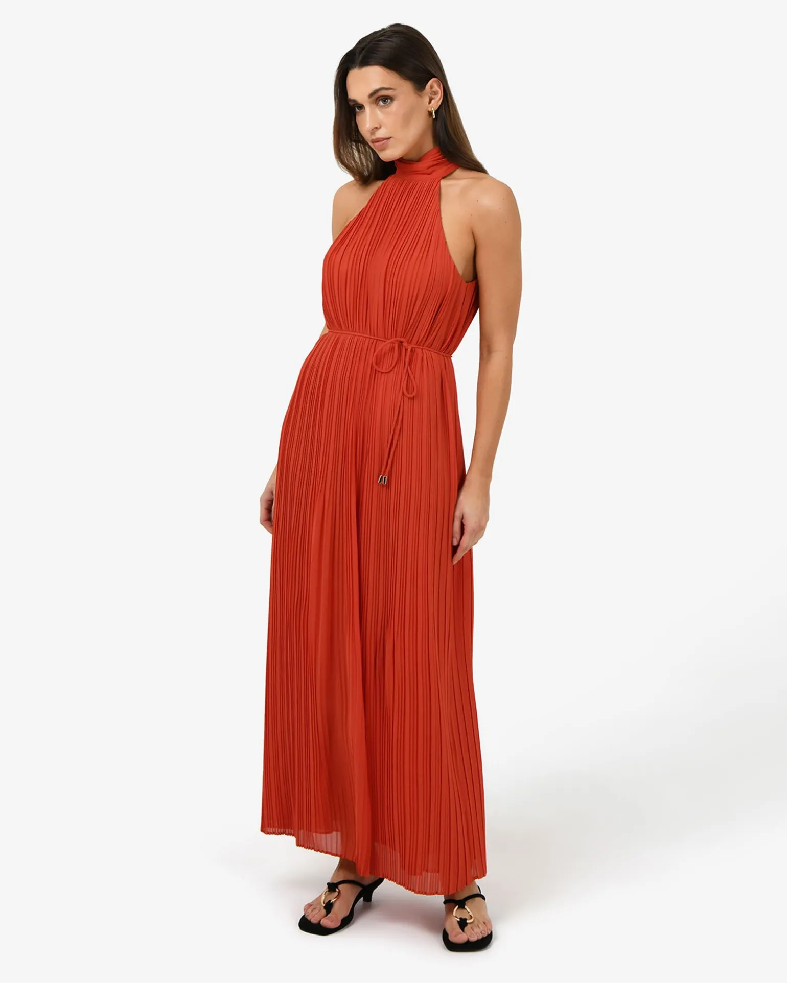 Shelly Chiffon Pleated Dress