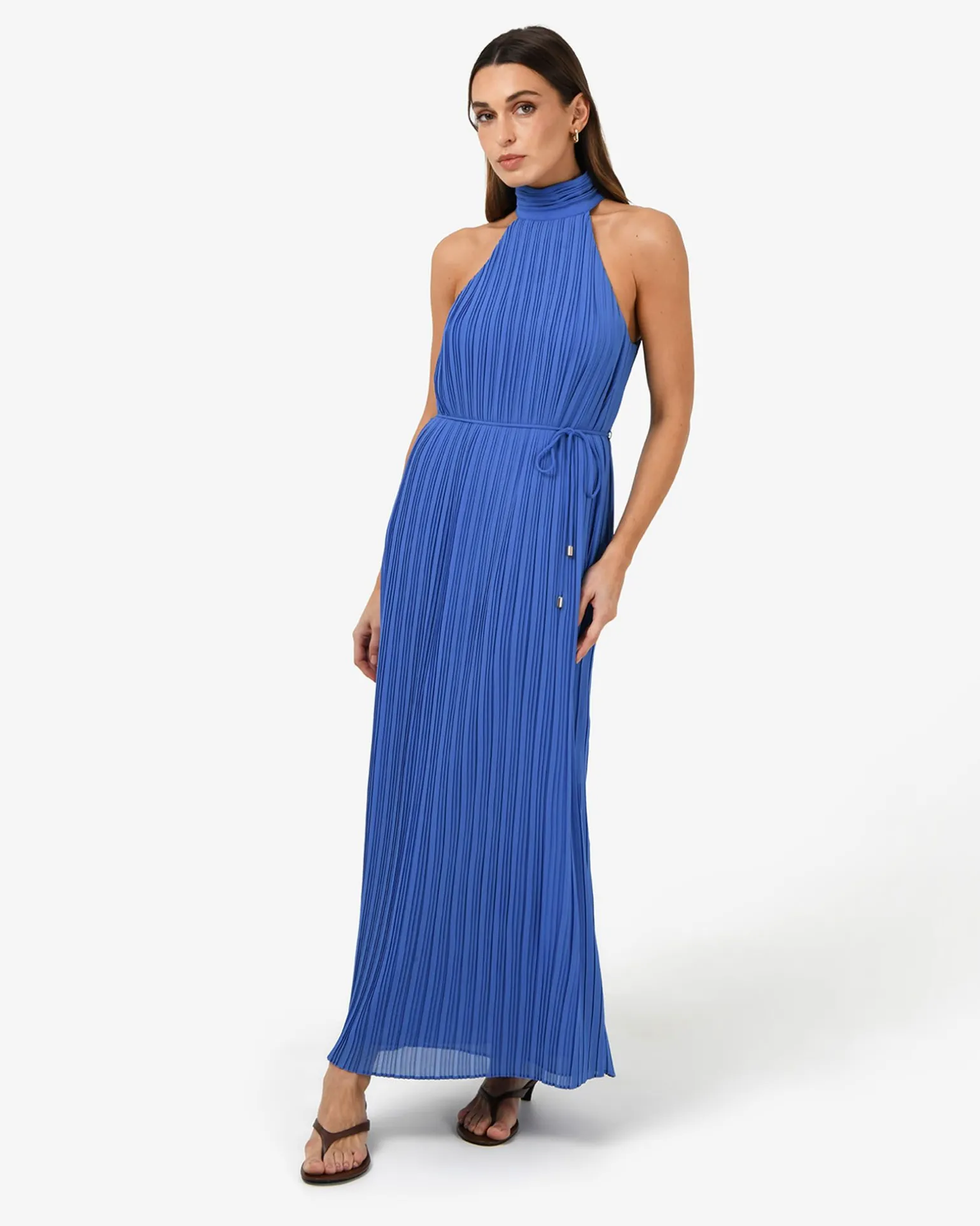 Shelly Chiffon Pleated Dress