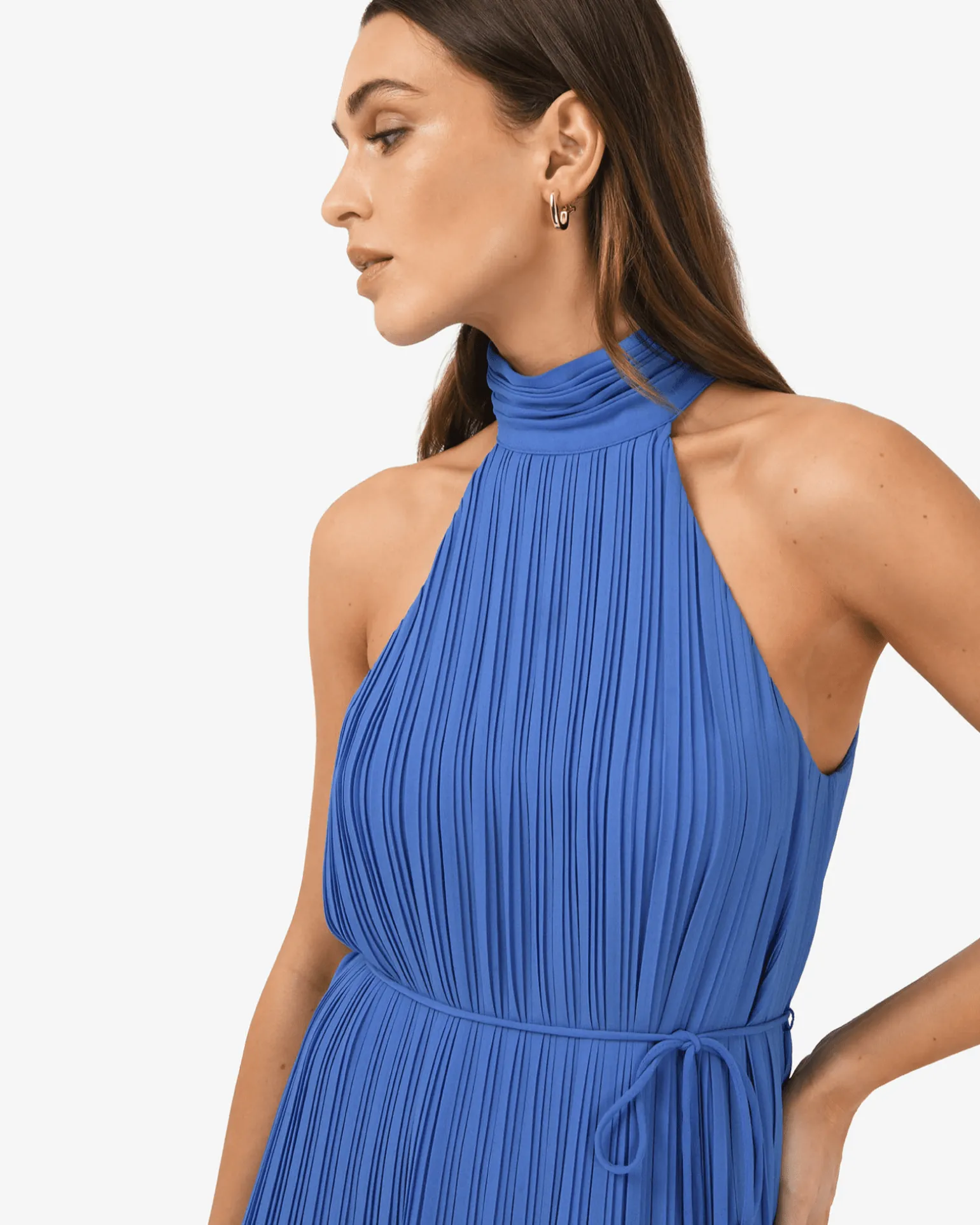 Shelly Chiffon Pleated Dress