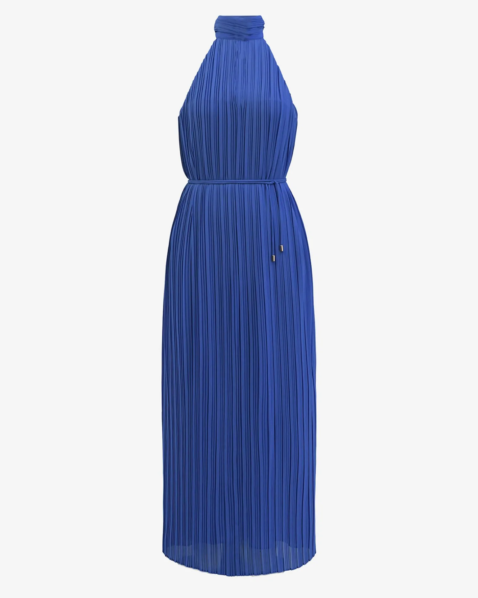 Shelly Chiffon Pleated Dress