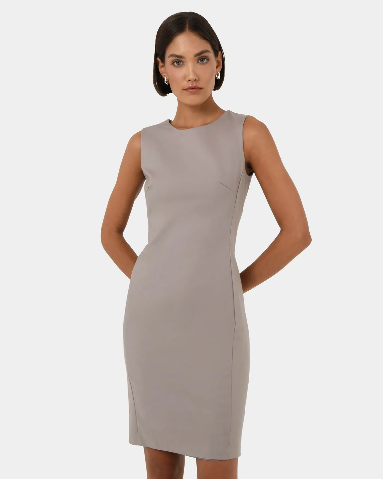 Taylor Fitted Dress