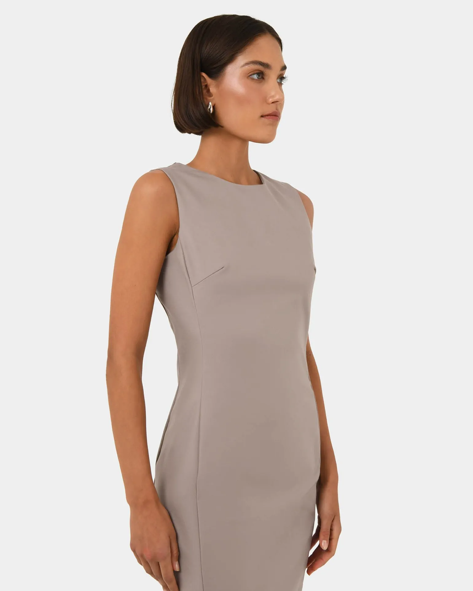 Taylor Fitted Dress
