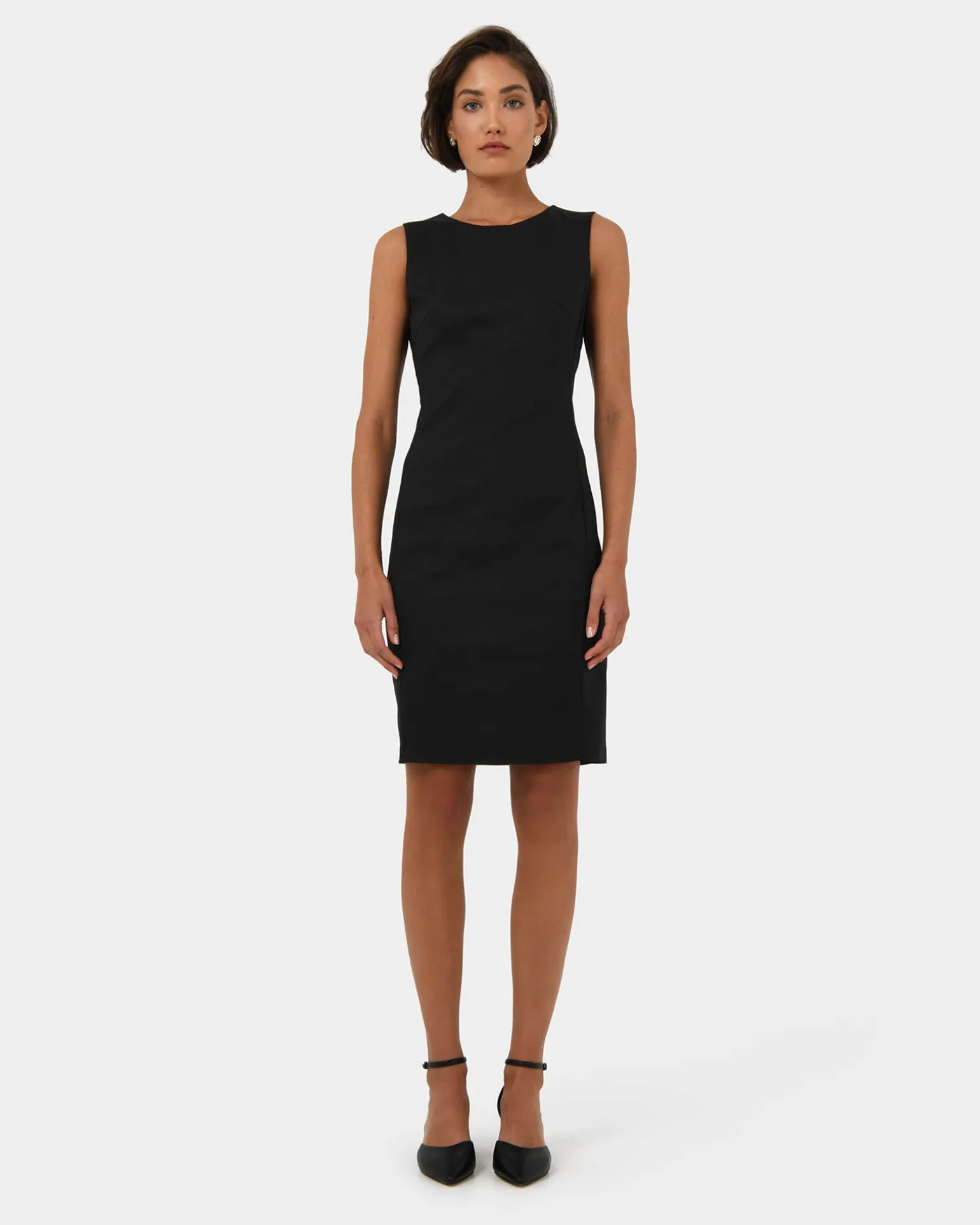 Taylor Fitted Dress