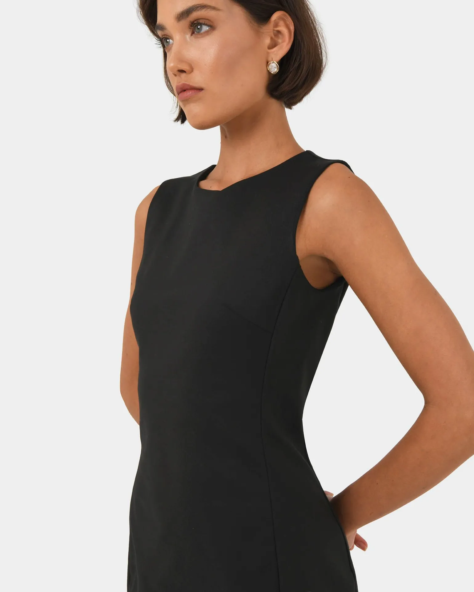 Taylor Fitted Dress